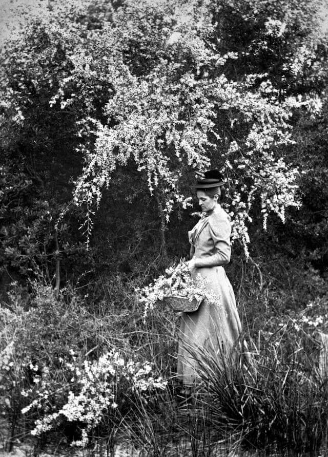 A woman picking flowers in the garden.